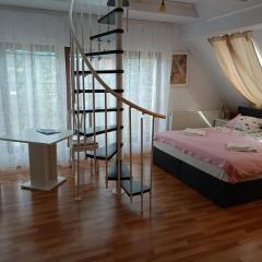 Pension DonauBlick Grein 2 in Stifterstrasse19. (2 Apartment )