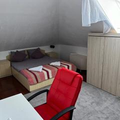 Bucium Hill View Apartment