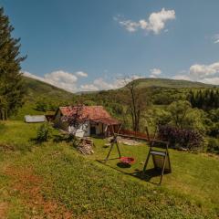 Kuca Lula Stara planina