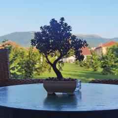 Cele's Garden