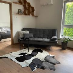 Hexagon Apartman Szeged