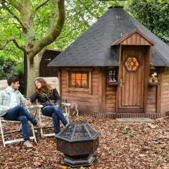 Starry Meadow & Rescued Animal Experiences