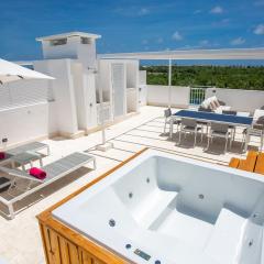 Beauty Pent House with amazing pool views in Cana