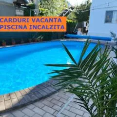 Vila Fifi Costinesti