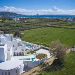 Maestro Villas Naxos