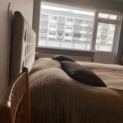Bright and spacious 2 bedroom apartment in Rvk