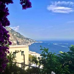 Monicas garden and the Sea