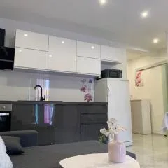 Apartments Milica