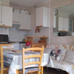 Appartement à GOURETTE, résidence EURONEIGE, avec balcon, vue idéale sur la montagne - 6 personnes