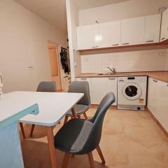 Apartment STAR Brno with terrace 1