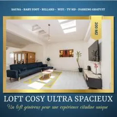 LOFT COSY - HYPERCENTRE - SAUNA - 200m2 - WIFI
