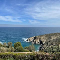 App T2 Climatisé-Vue Mer-Linge et ménage inclus - BANYULS SUR MER