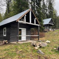 Basic Cabin at Beaverfoot