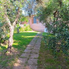 Podere Fichidimare