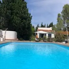 DOMAINE LES VINYES