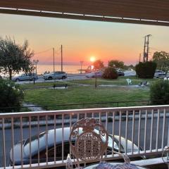 Sapphire Horizon Apartment