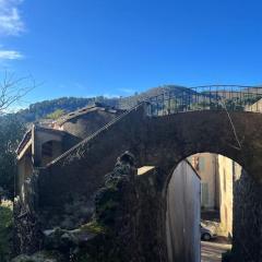 Maison cévenole typique et son jardin suspendu