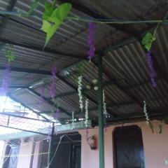 Neelkanth homestay