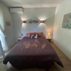 Maison 6-8 personnes proche Cannes