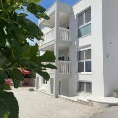 Apartment Babic