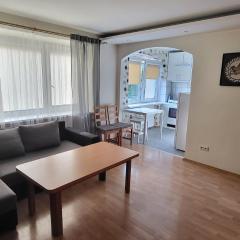 Kaunas center apartment