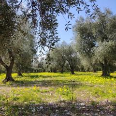Appartamenti Anna Maria