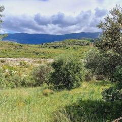 Elvis's vacation house