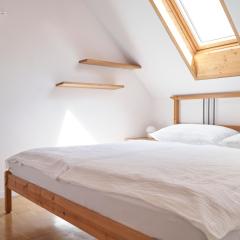Ljubljana City Dragon Apartment