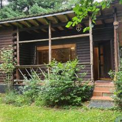 Nice house with sauna and steam bath in a forest