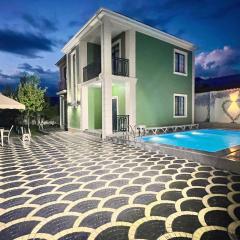 Luxury Villa in Ismayilli