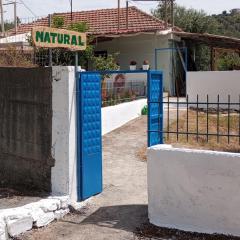 Natural Hostel