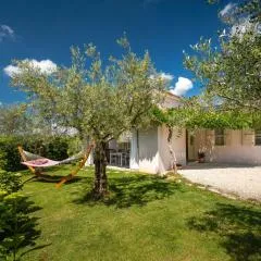 Beautiful Villa GF25 with pool in Visnjan