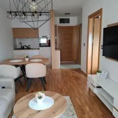 Leonardo 72,Apartman Zlatibor