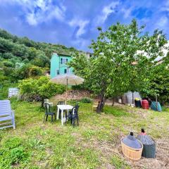[AC & Garden] Olive Grove Oasis
