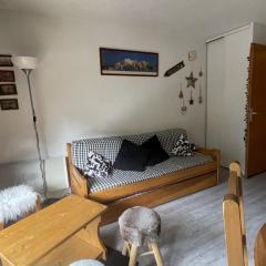 Appartement 2 pièces à Châtel, 5 pers., parking, proche pistes - FR-1-676-153