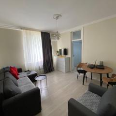 42m square apartment bedroom living room and kitchen separatly