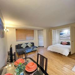 Chelsea Studio Apartment - Sleeps 4 - near Cromwell Hospital