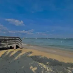 Cabane Claouey, bassin Cap ferret