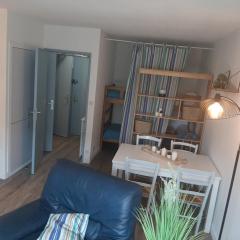 À deux pas des commerces et de l'océan, appartement rénové avec terrasse à Seignosse - FR-1-239-413