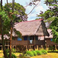 Amazon Curassow Lodge and Expeditions