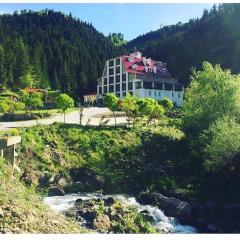 Hotel Green Valley Savsat