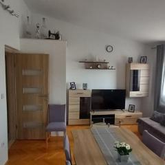 Apartman Olga
