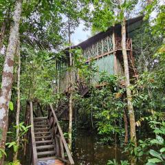 Cabaña en el arbol del Tacana