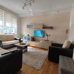 Apartman Braun Čačak