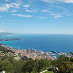 Appartement met uitzicht over Monaco