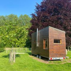 Tiny House in nature near Bruges