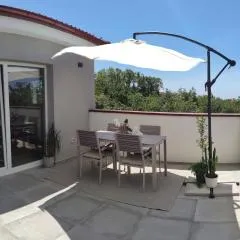 Apartment Emili