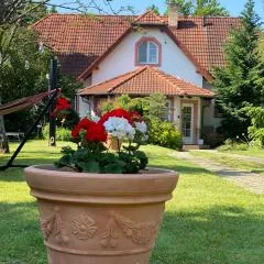 Vila EVIO Třeboň
