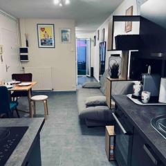 Studio 3 personnes centre ville, avec cour