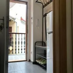 Studio apartment in Viktoria Zizkov
